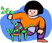 gardening