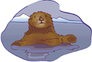 sea_otters