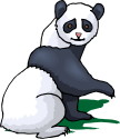 Giant Pandas Printable